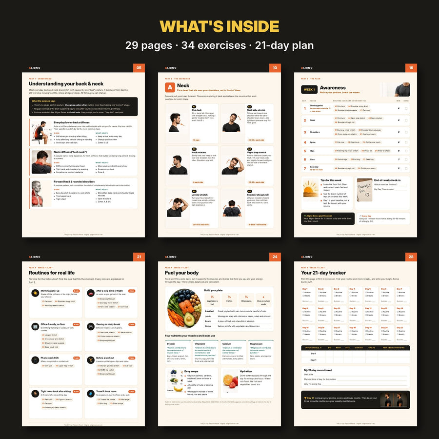 Inside pages of the 21-Day Posture Reset: exercises, daily plan, routines and tracker